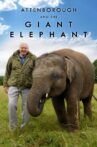 Attenborough and the Giant Elephant Movie Streaming Online