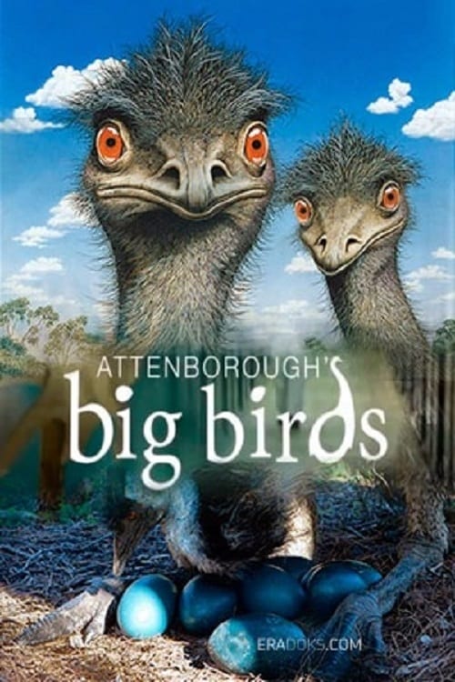 Attenborough's Big Birds Movie Streaming Online Watch