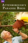 Attenborough's Paradise Birds Movie Streaming Online
