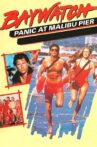Baywatch: Panic at Malibu Pier Movie Streaming Online