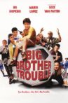 Big Brother Trouble Movie Streaming Online