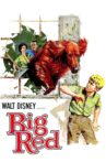 Big Red Movie Streaming Online