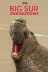 Big Sur-Wild California Movie Streaming Online