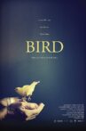 Bird Movie Streaming Online