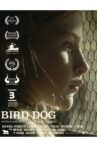 Bird Dog Movie Streaming Online