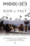 Bird of Prey Movie Streaming Online