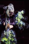 Björk - Vulnicura Live Movie Streaming Online