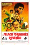 Black Dragon's Revenge Movie Streaming Online