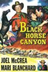 Black Horse Canyon Movie Streaming Online