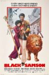 Black Samson Movie Streaming Online