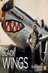 Black Wings Movie Streaming Online
