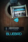 Bluebird Movie Streaming Online