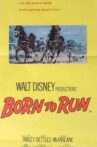 Born to Run Movie Streaming Online