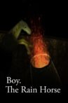 Boy Movie Streaming Online