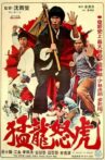 Bruce and Dragon Fist Movie Streaming Online