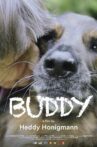 Buddy Movie Streaming Online