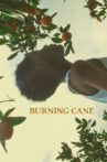 Burning Cane Movie Streaming Online