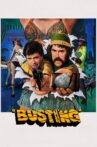 Busting Movie Streaming Online