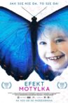 Butterfly's Dream Movie Streaming Online