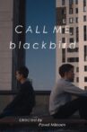 Call Me Blackbird Movie Streaming Online