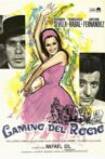 Camino del Rocío Movie Streaming Online