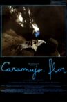 Caramujo-Flor Movie Streaming Online