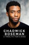 Chadwick Boseman:  A Tribute for a King Movie Streaming Online