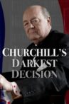 Churchill's Darkest Decision Movie Streaming Online