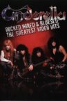 Cinderella: Rocked, Wired & Bluesed: The Greatest Video Hits Movie Streaming Online