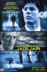 Code Name: Jaguar Movie Streaming Online