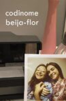 Codinome Beija-Flor Movie Streaming Online