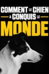 Comment le chien a conquis le monde Movie Streaming Online