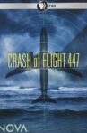 Crash of Flight 447 Movie Streaming Online