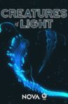 Creatures of Light Movie Streaming Online