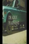 Deadly Harvest Movie Streaming Online