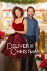 Deliver by Christmas Movie Streaming Online