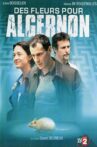 Des fleurs pour Algernon Movie Streaming Online