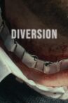 Diversion Movie Streaming Online