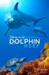 Dolphin Reef Movie Streaming Online