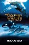 Dolphins and Whales: Tribes of the Ocean Movie Streaming Online