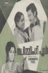 സ്വിമ്മിംഗ്‌ പൂൾ Movie Streaming Online