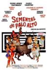 El semental de Palo Alto Movie Streaming Online