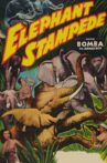 Elephant Stampede Movie Streaming Online