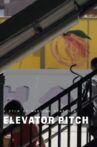 Elevator Pitch Movie Streaming Online