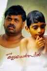 Ente Kallu Pencil Movie Streaming Online
