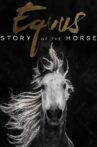 Equus, une histoire de chevaux et d'hommes Movie Streaming Online