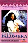Fable of the Beautiful Pigeon-Fancier Movie Streaming Online
