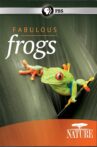 Fabulous Frogs Movie Streaming Online