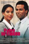 False Witness Movie Streaming Online