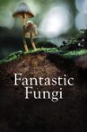 Fantastic Fungi Movie Streaming Online